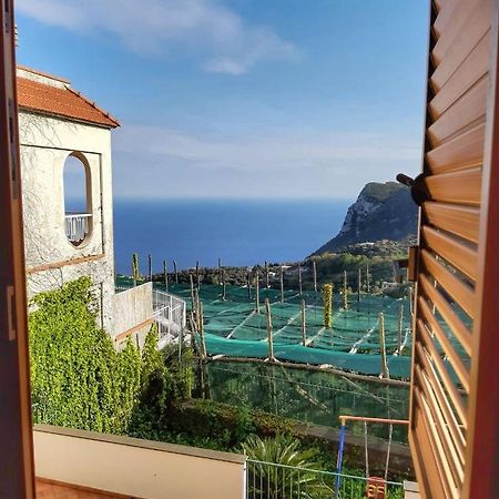 Villa Mariel Suites & Apartment 마사루브렌세 객실 사진